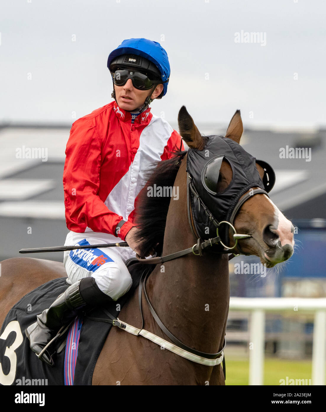 Jockey Paolo Hanagan sulla danza Diva, prima dell'inizio dell'Irish stallone fattorie EBF Scottish Premier Fillies' Handicap a Musselburgh - 29 settembre 201 Foto Stock