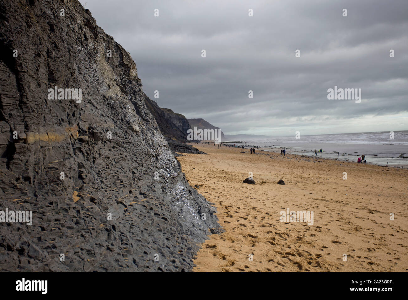 Ven nero marl stati scogliera sulla spiaggia Charmouth, Dorset Inghilterra Foto Stock