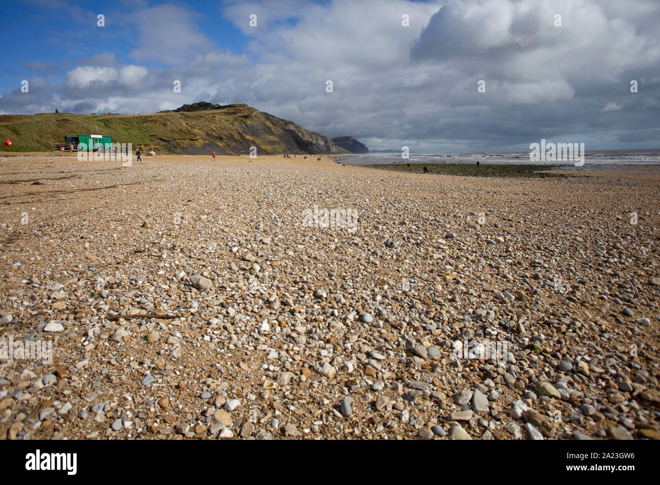 Charmouth beach, Dorset Inghilterra Foto Stock