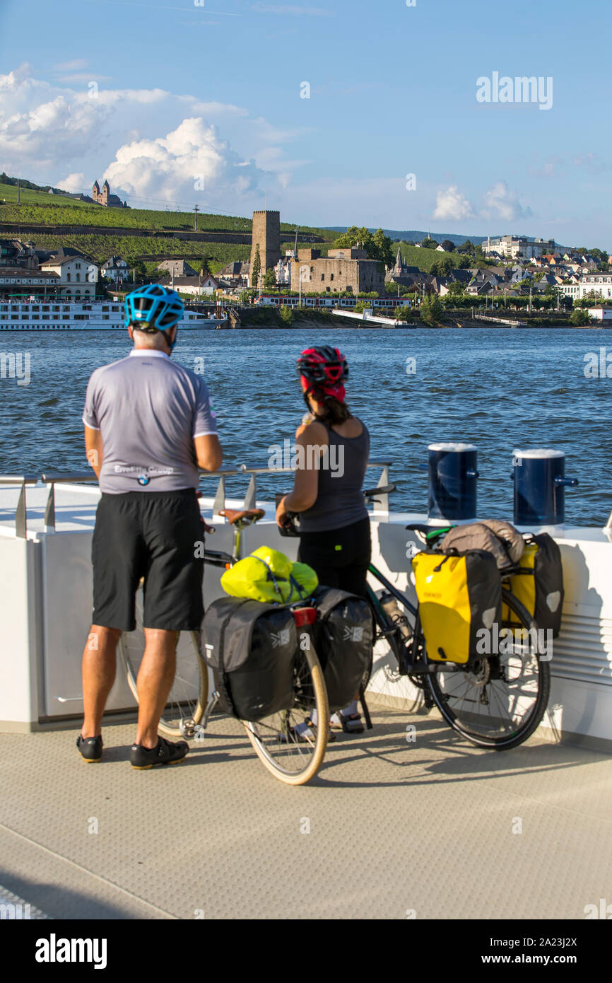 Ciclista su un traghetto del Reno tra Bingen e Rüdesheim, Germania Foto Stock