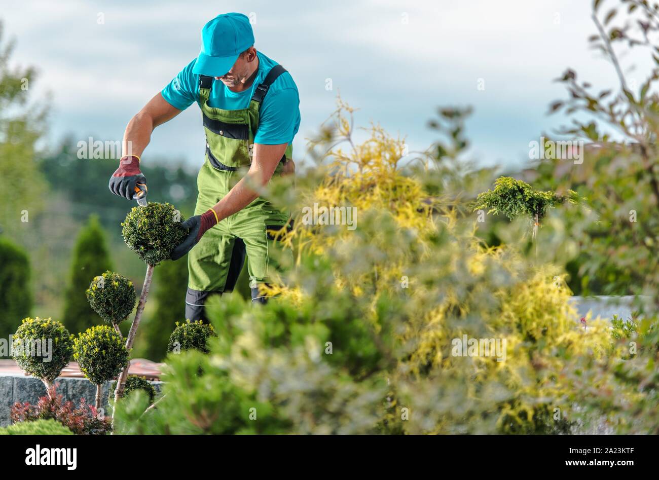 Il giardiniere e il giardino del lavoro di manutenzione. Piante stagionali rifilatura. Foto Stock