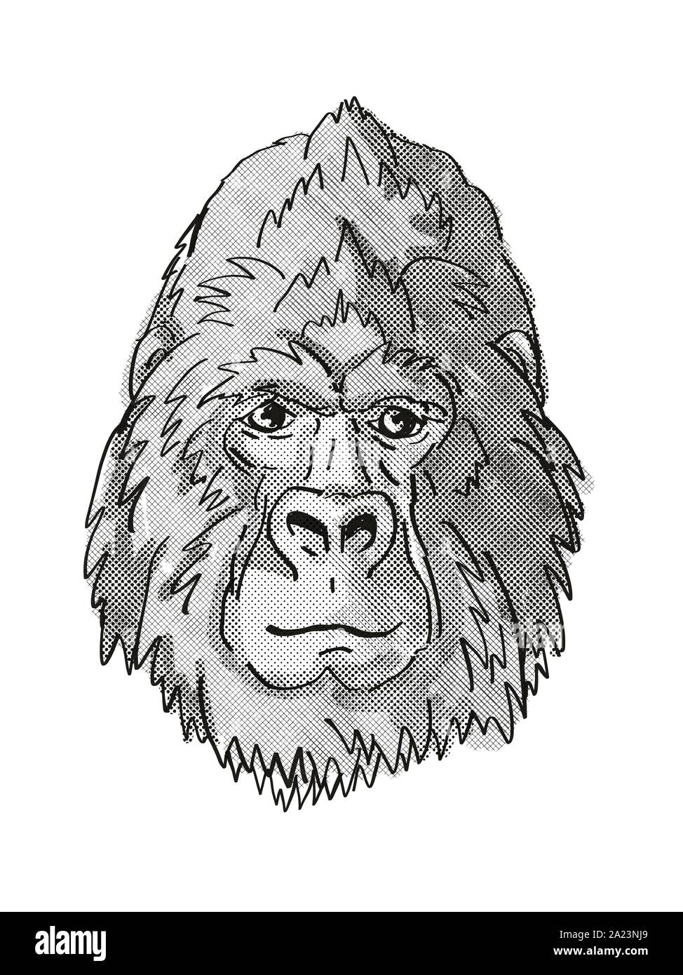 Rétro in stile cartoon testina di disegno di un ritorno di argento o di gorilla di montagna, una specie di scimmia se visto dalla parte anteriore sulla isolato sfondo bianco fatto in nero a Foto Stock