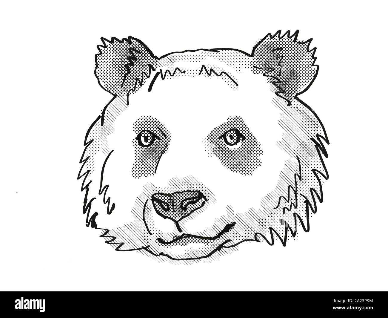 Rétro in stile cartoon disegno della testa di un panda gigante , una fauna selvatica minacciate di estinzione di specie isolato su sfondo bianco fatto in bianco e nero. Foto Stock