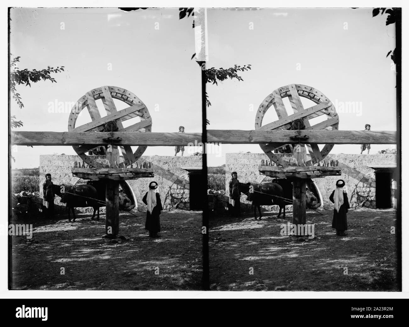 Oriental ruota di irrigazione Foto Stock