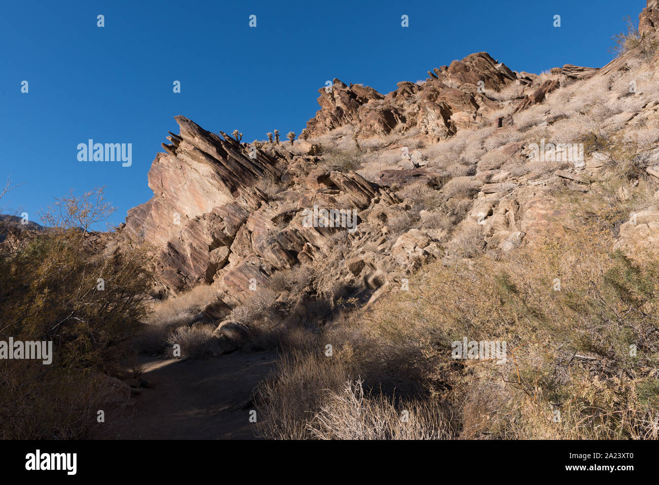 Affioramenti di Andreas Canyon, uno dei tre Indian Canyon di proprietà e gestito da Agua Caliente banda di indiani Cahuilla, al di sotto di Palm Springs, California Foto Stock