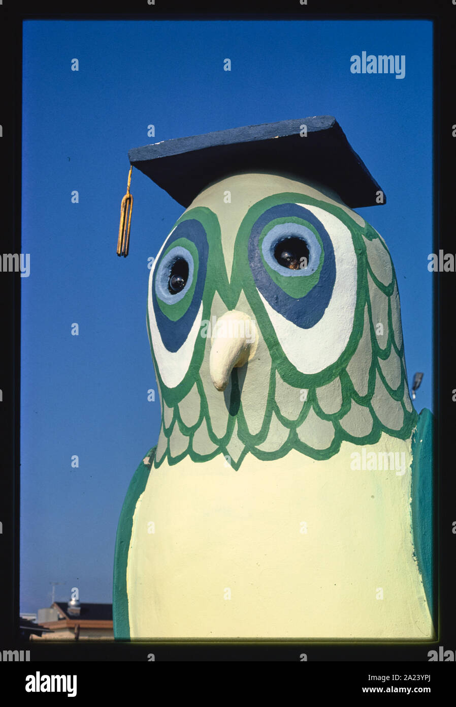 Il gufo dettaglio, Sir Goony mini golf, Chattanooga, Tennessee Foto Stock
