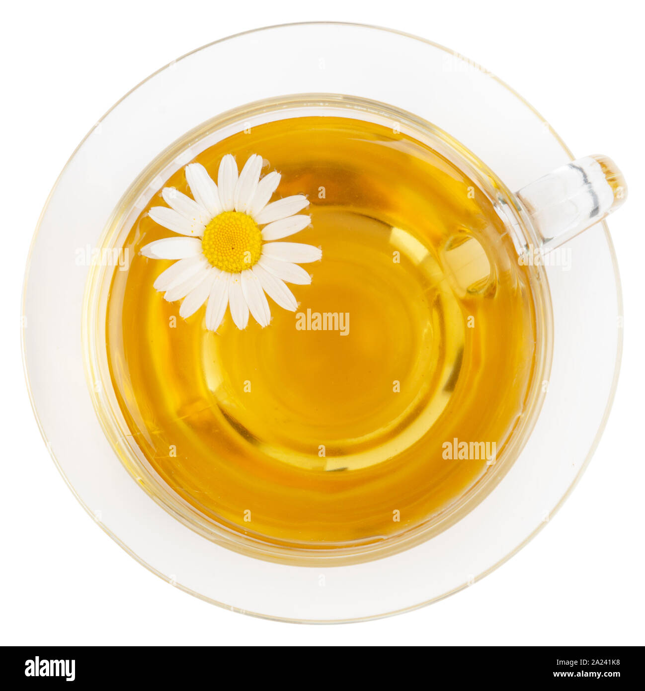 Bicchiere di vetro di una sana camomilla tisana isolato su bianco. Tazza di tè con galleggianti fiore a margherita Foto Stock