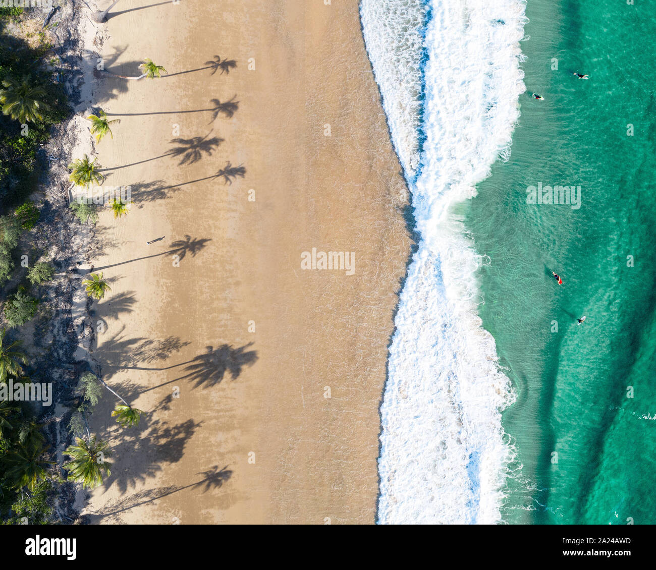 Scenario tropicale di sabbia bianca bech con noce di cocco Palm tree idilliaco sfondo turchese del mare vista aerea Foto Stock