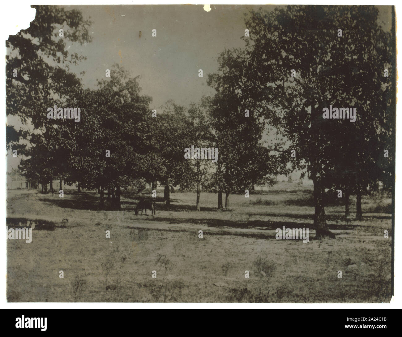 Park Foto Stock