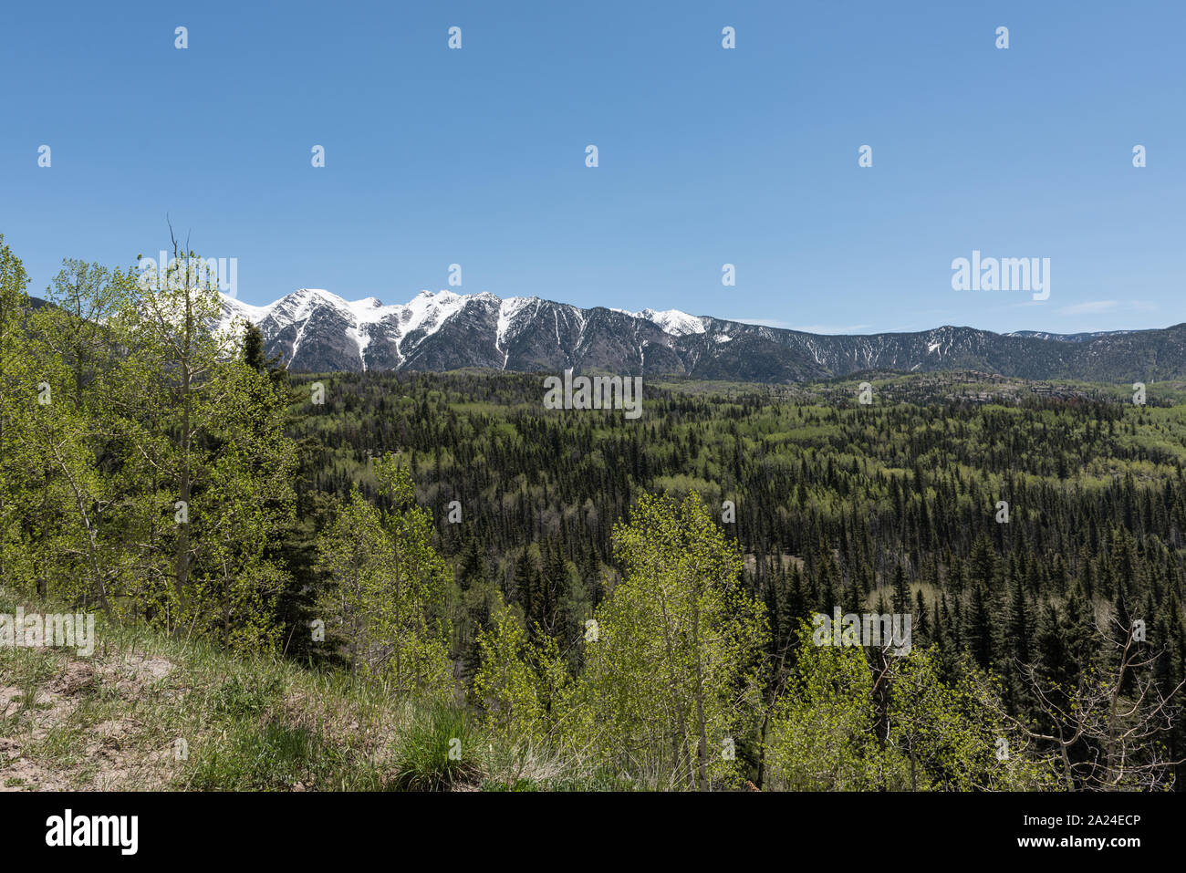 Parte del vasto San Juan National Forest e la gamma della montagna di lo stesso nome a distanza il vicino insediamento di Bayfield in a sudovest del Colorado La Junta County Foto Stock
