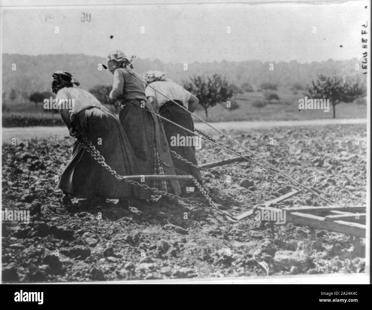 Contadini nel re-prese Somme District lavorare duro senza cavalli o bestiame. I Tedeschi in ritirata hanno preso tutte le scorte vive Foto Stock