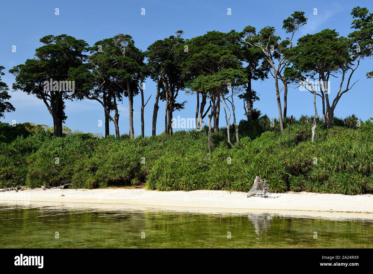 La spiaggia di Neil isola delle Isole Andamane e Nicobare, India Foto Stock