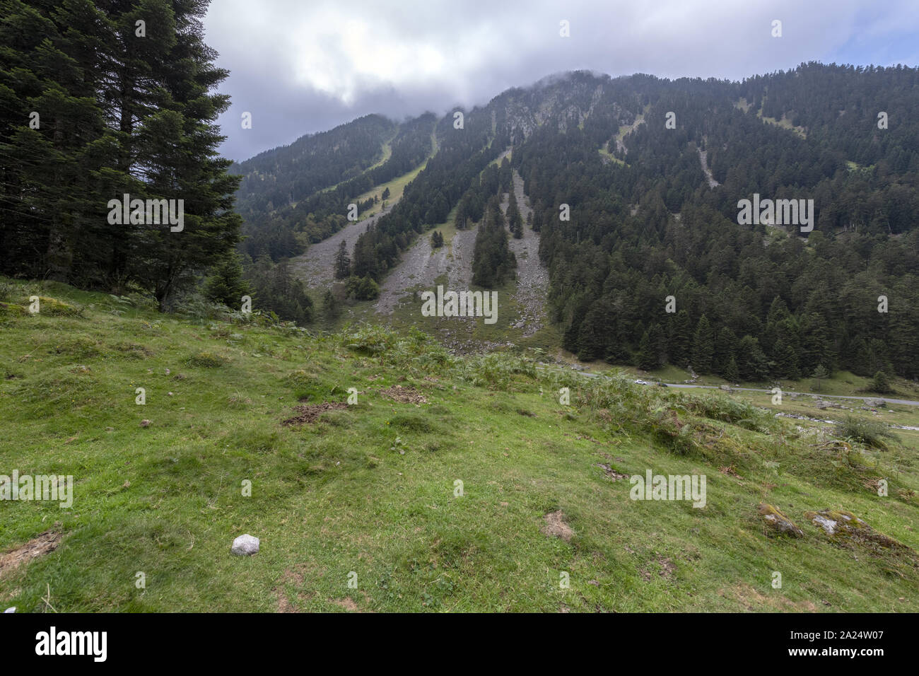 Europa francia alti Pirenei 2018 : Moody immagine di alti Pirenei foreste in estate. Foto Stock