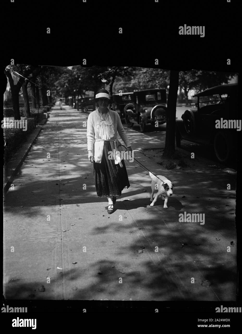 Peter Pan Clark, il piccolo filo-haired terrier cucciolo e adottato il membro della famiglia del sig. e della sig.ra EDW. T. Clark, camminando sulla 16th St., nello Stato di Washington, con la sig.ra Clark, moglie del Personal Secy. a Pres. Coolidge. Essa è rimasta per Peter Pan per essere il primo cane per chiamare all'W.H. cioè Casa Bianca e lasciare la sua carta. Molti cani di tutte le varietà hanno chiamato all'W.H. cioè Casa Bianca ma Peter Pan è il primo a presentare una scheda con il proprio nome inciso su di esso Foto Stock