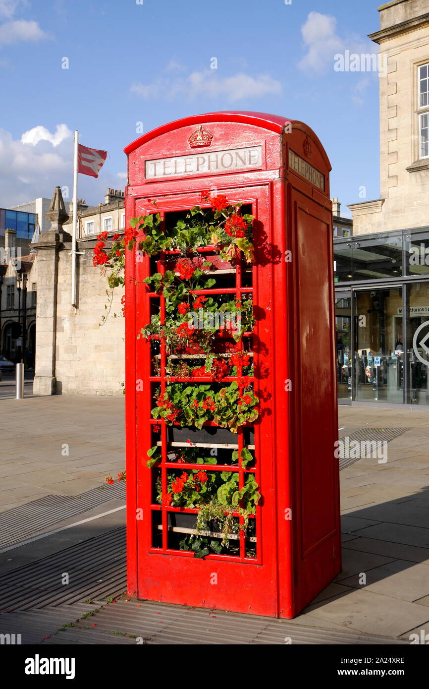 Nella casella Telefono con fiori crescono fuori di esso, bagno, England, Regno Unito Foto Stock