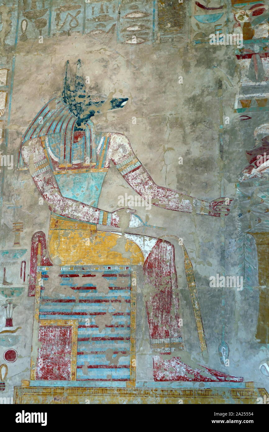 Rilievo di parete (verniciato), raffigurante il dio Anubis; entro il Tempio di Hatshepsut, nei pressi di Luxor in Egitto. Il tempio mortuario e tomba risale al XVIII dinastia, ed è stato progettato da Senenmut, royal steward e architetto di Hatshepsut. Esso è stato costruito durante il XV secolo a.c. durante la XVIII dinastia Foto Stock