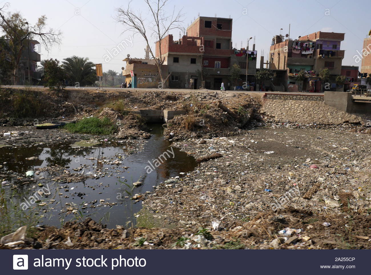 Un fortemente inquinati per via navigabile a Saqqara, Egitto. l'inquinamento del fiume Nilo rimane una questione in sospeso che viene sottolineata in Egitto con acqua di ogni incidente di avvelenamento causato dal dumping di rifiuti pericolosi nel fiume. Il Ministero dell Ambiente ha registrato numerosi episodi di inquinamento nelle acque del Nilo: la fuoriuscita delle acque reflue nella zona compresa tra la diga alta e serbatoio di Aswan, il margine di dumping di animali morti e il rilascio di rifiuti solidi industriali Foto Stock