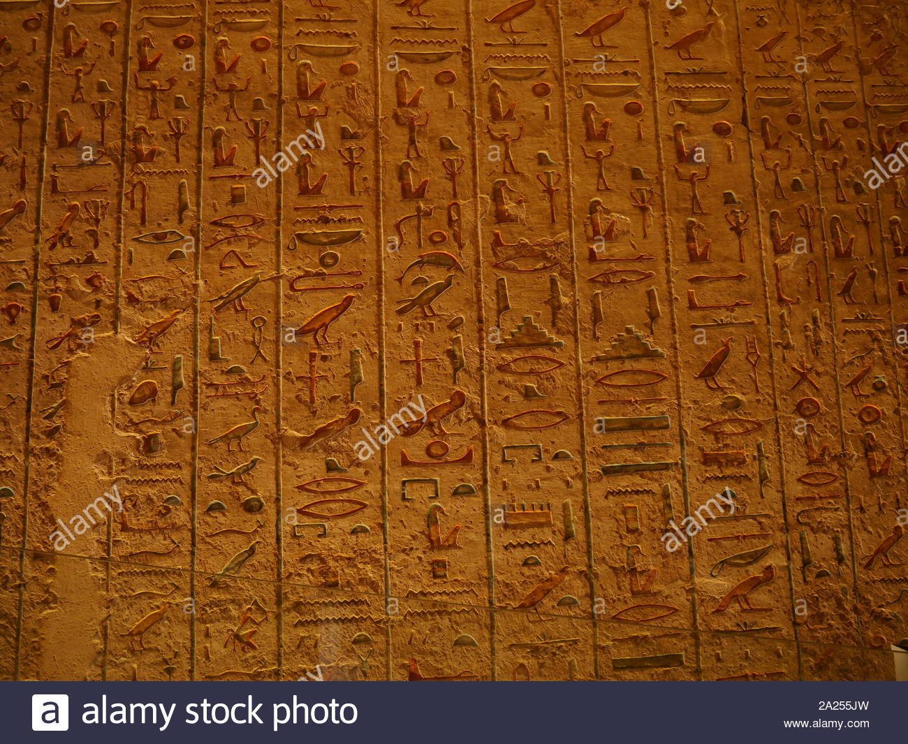 Tomba KV11 è la tomba di antico faraone egiziano Ramesse III, (1186-1155 BC), XX dinastia. Situato nella valle principale della Valle dei Re e la tomba era stata originariamente avviato da Setnakhte, ma abbandonato quando si ruppe in precedenza la tomba di Amenmesse (KV10). La tomba KV11 è stato ripreso e ampliato e su un asse diverso per Ramesse III. La tomba è stata aperta fin dall'antichità ed è stata variamente nota come Bruce la tomba (chiamato dopo James Bruce che ha immesso la tomba nel 1768) e la Harper's tomba (a causa di dipinti di due ciechi harpers nella tomba). Foto Stock