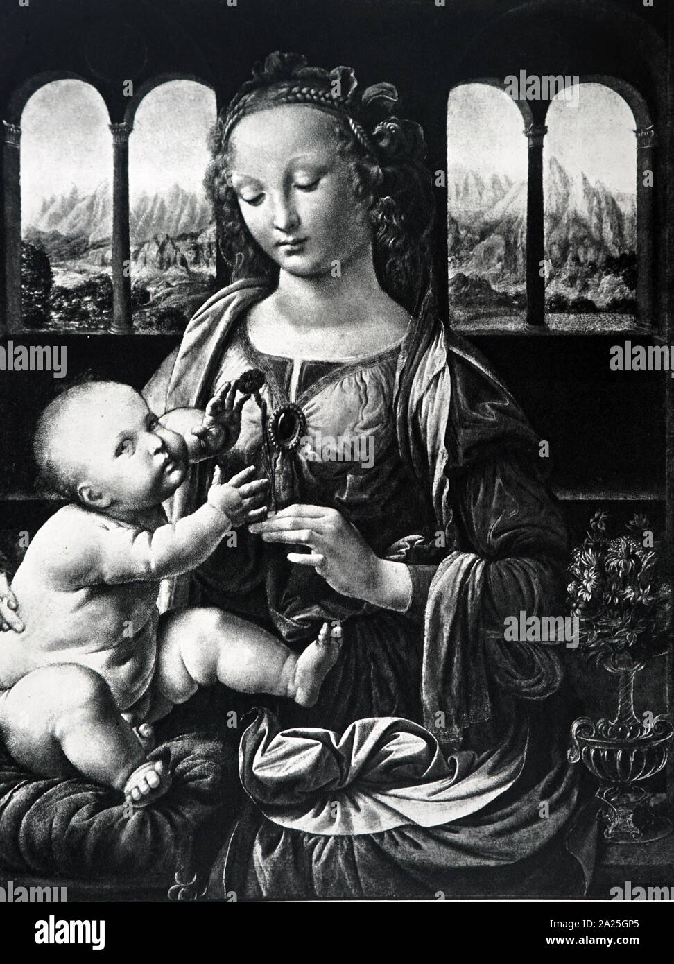 Madonna con il garofano di Leonardo da Vinci. Leonardo di ser Piero da Vinci (1452-1519) un polymath italiana del Rinascimento. Foto Stock