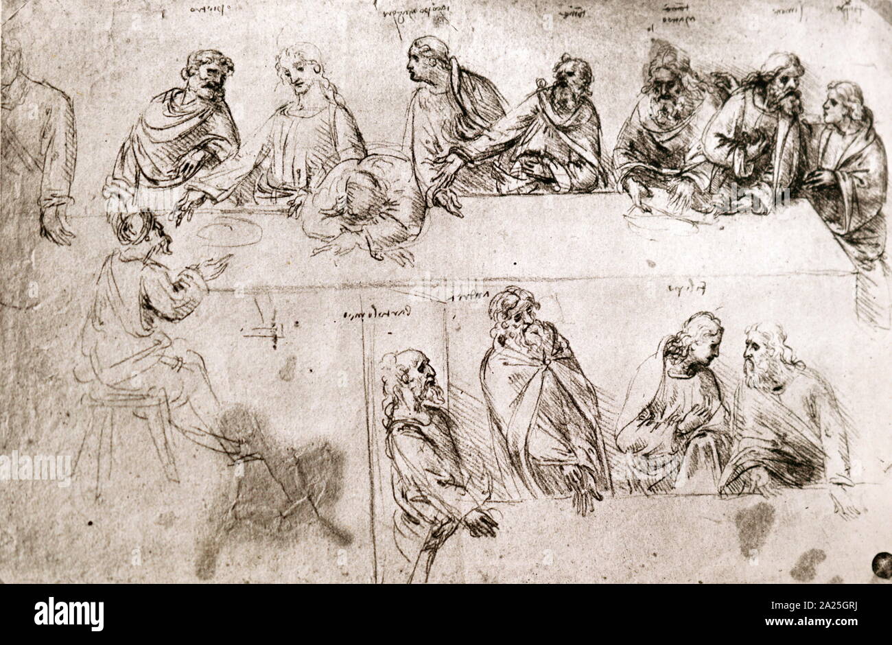 Studio dell'Ultima Cena di Leonardo da Vinci. Leonardo di ser Piero da