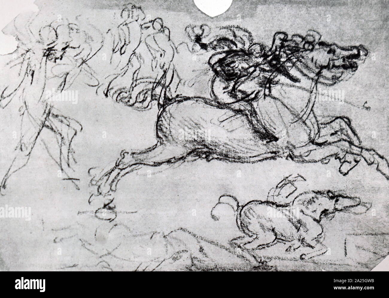 la battaglia di anghiari di leonardo