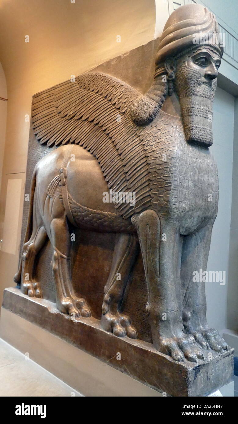 Alato con testa umana Lion statua custodendo l'entrata del Palazzo Nord-Ovest di Nimrud. 865-860 BC, assiro, Iraq Foto Stock