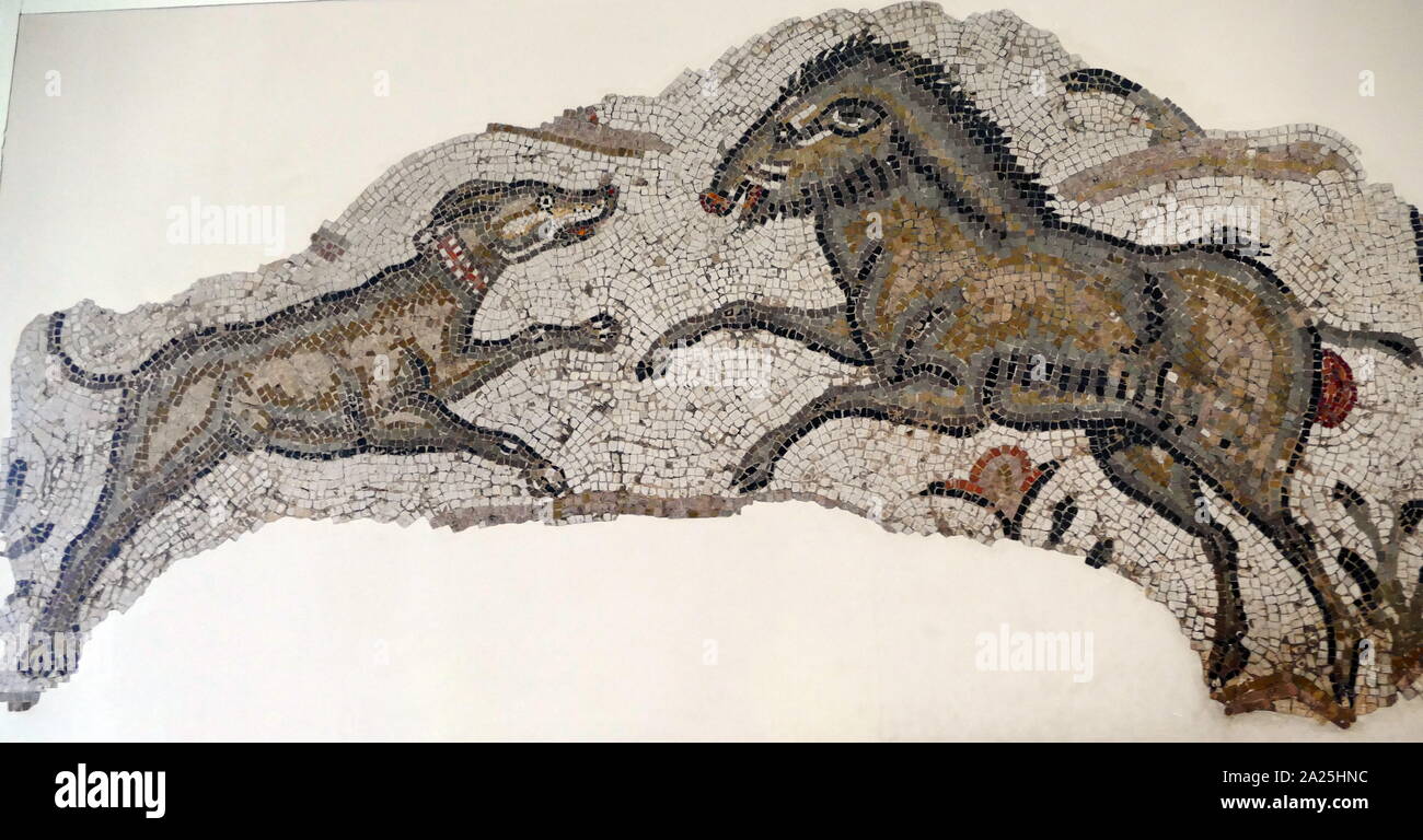 Roman British, mosaico che mostra una scena di caccia, V - VI secolo D.C. Foto Stock