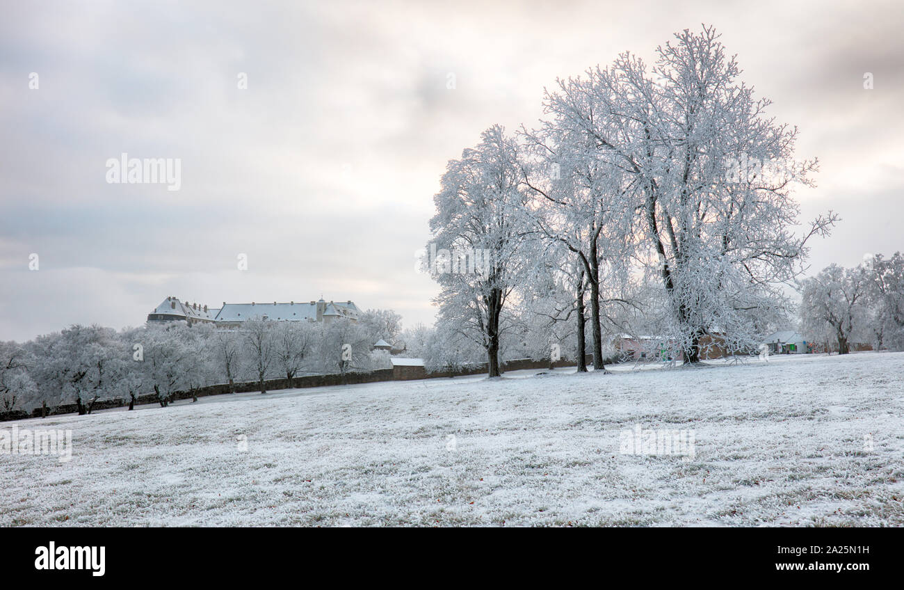 Albero di inverno con castello Cerveny Kamen, Slovacchia Foto Stock