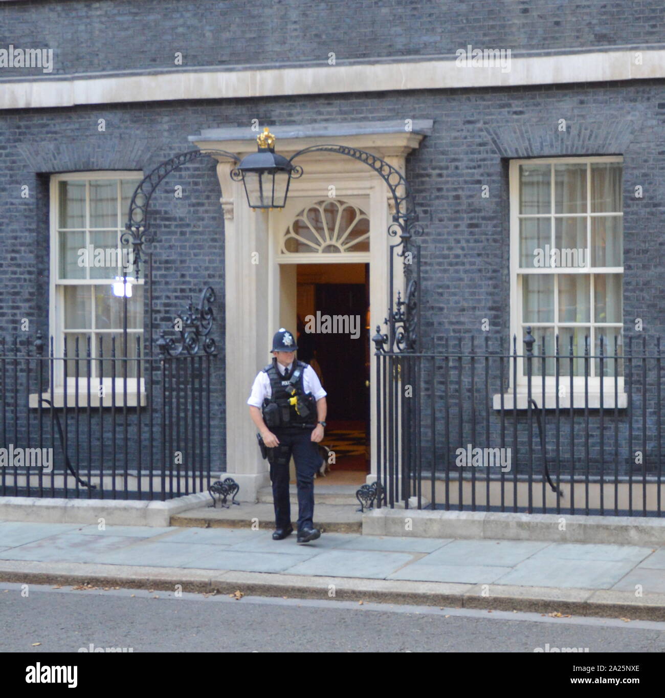 Larry il 10 Downing street cat e chief mouser al cabinet office.presso la porta del numero dieci di Downing street office e la residenza del Primo ministro britannico Foto Stock