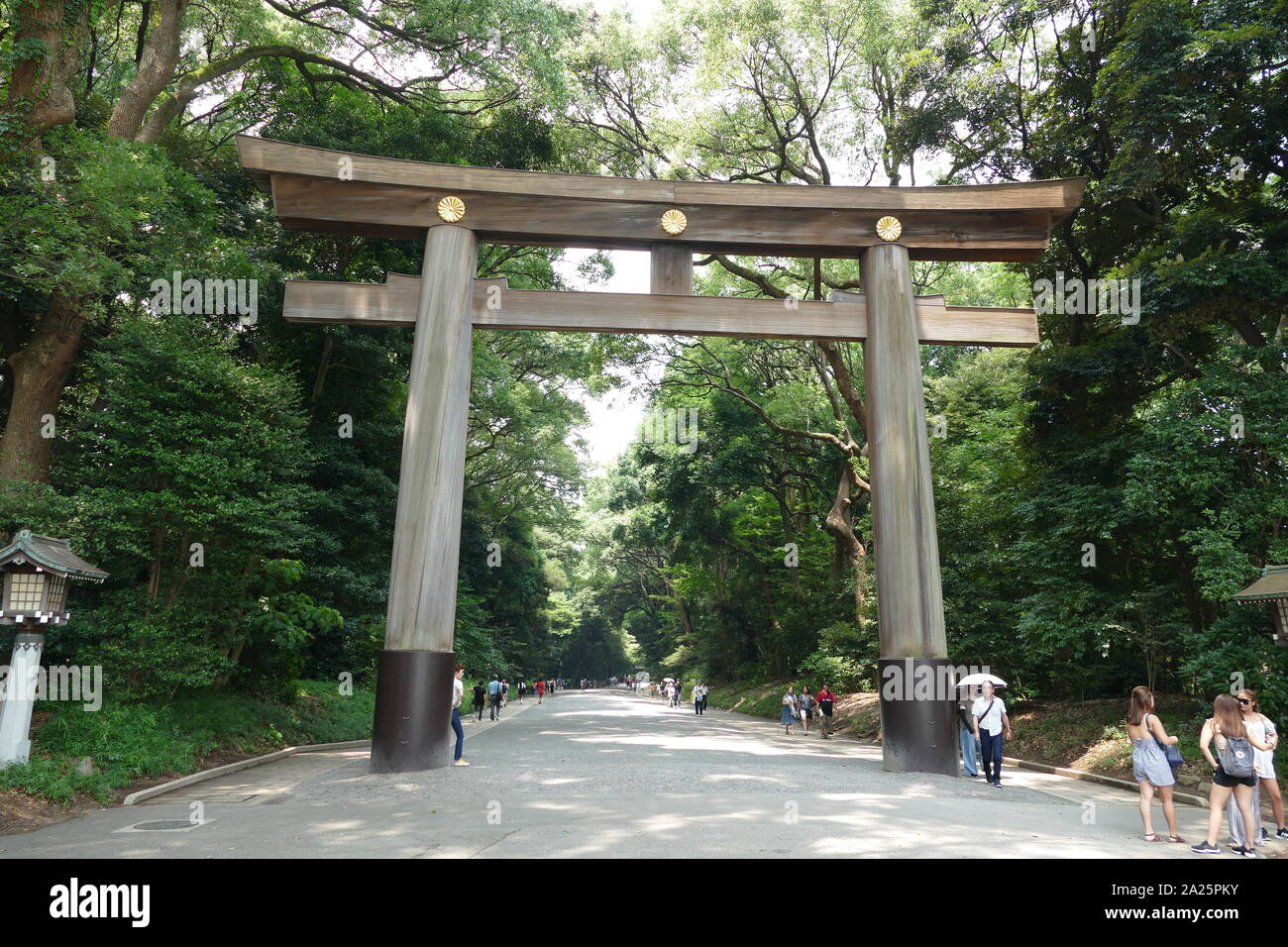 Tori o gate, avvicinando il Tempio di Meiji, in Shibuya, Tokyo. Questo santuario scintoista che è dedicata ai distillati deificato dell'Imperatore Meiji e alla sua consorte, Imperatrice Shoken. Il santuario non contengono l'imperatore del grave, che si trova a Fushimi-momoyama, a sud di Kyoto. Foto Stock