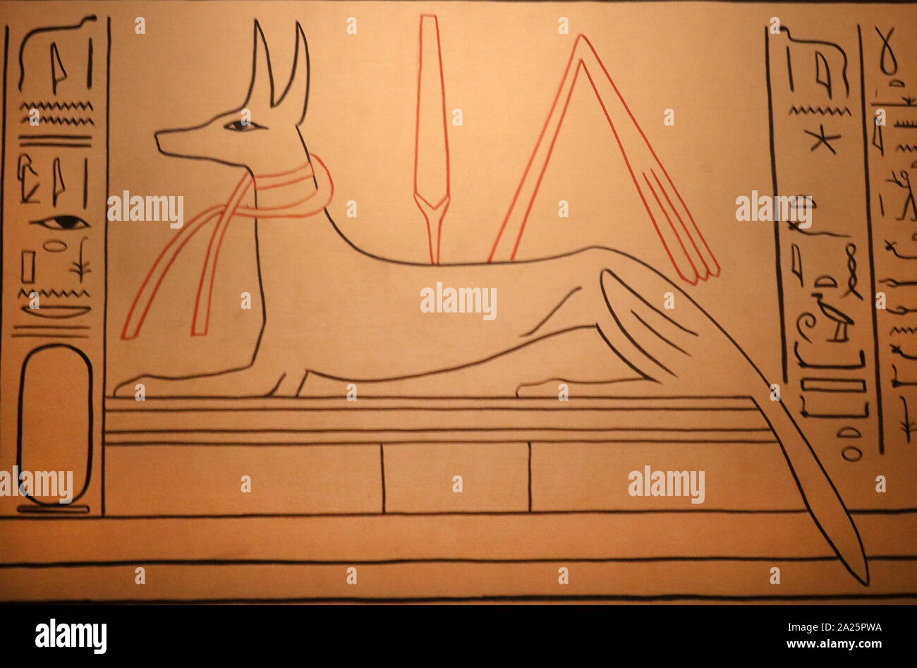 Illustrazione moderna mostra Anubi il Dio dei morti. Foto Stock