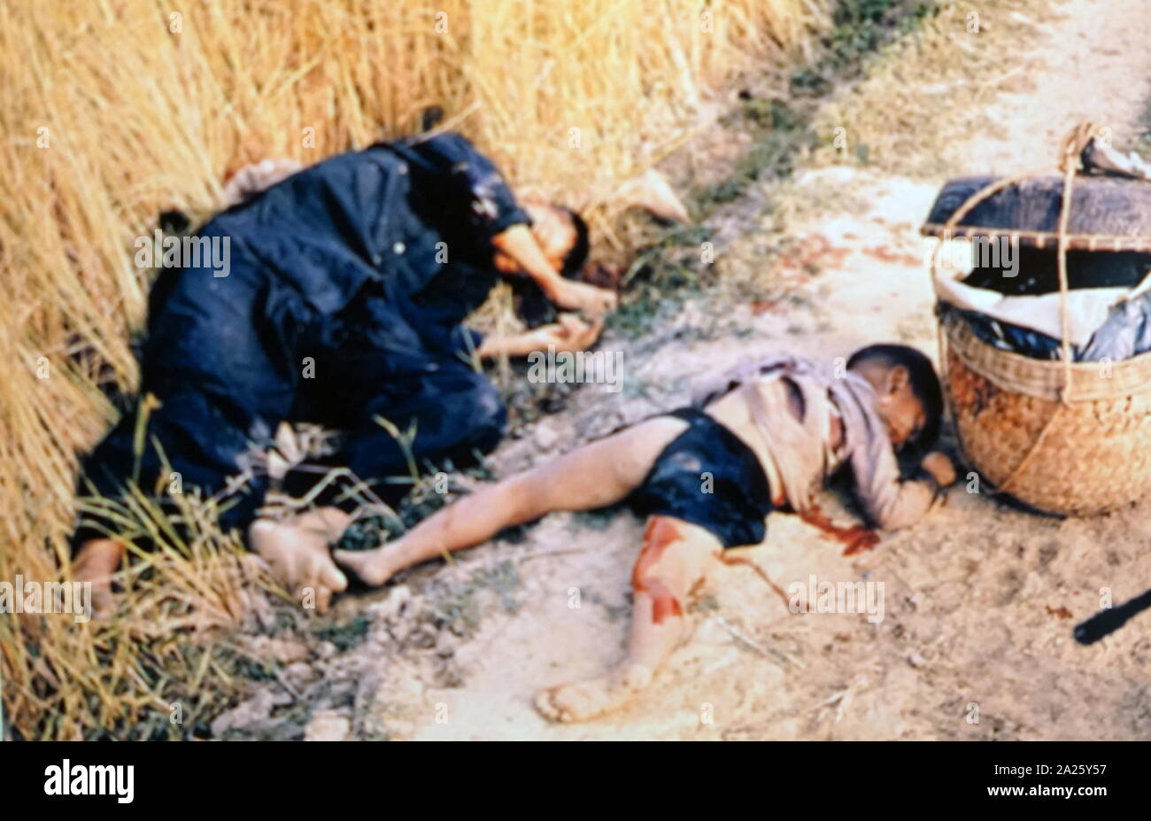 Fotografia che mostra le vittime di My Lai massacro - l omicidio di massa di disarmato Sudvietnamiti civili da parte di truppe degli Stati Uniti durante la Guerra del Vietnam. Foto Stock