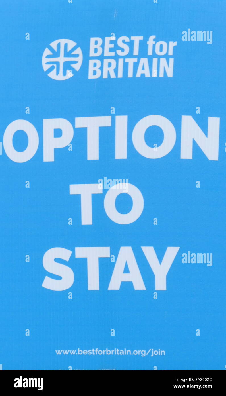 Segno svolto presso la "voto popolare' marzo in piazza del Parlamento, Londra. Il voto popolare marzo ha avuto luogo a Londra il 23 marzo 2019 come parte di una serie di dimostrazioni di protesta contro Brexit, chiamata per un nuovo referendum e chiedere al governo britannico di revocare l'articolo 50. Essa ha portato al capitale di centinaia di migliaia di manifestanti, o di più di un milione di persone secondo l'organizzazione Foto Stock