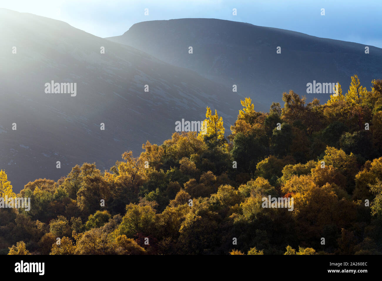 Braemar; Dee Valley View; Scozia - UK Foto Stock
