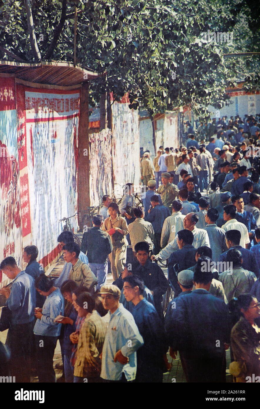 Durante l'altezza della rivoluzione culturale in Cina, la folla si riuniscono per leggere annunci incollato su una parete. 1967 Foto Stock