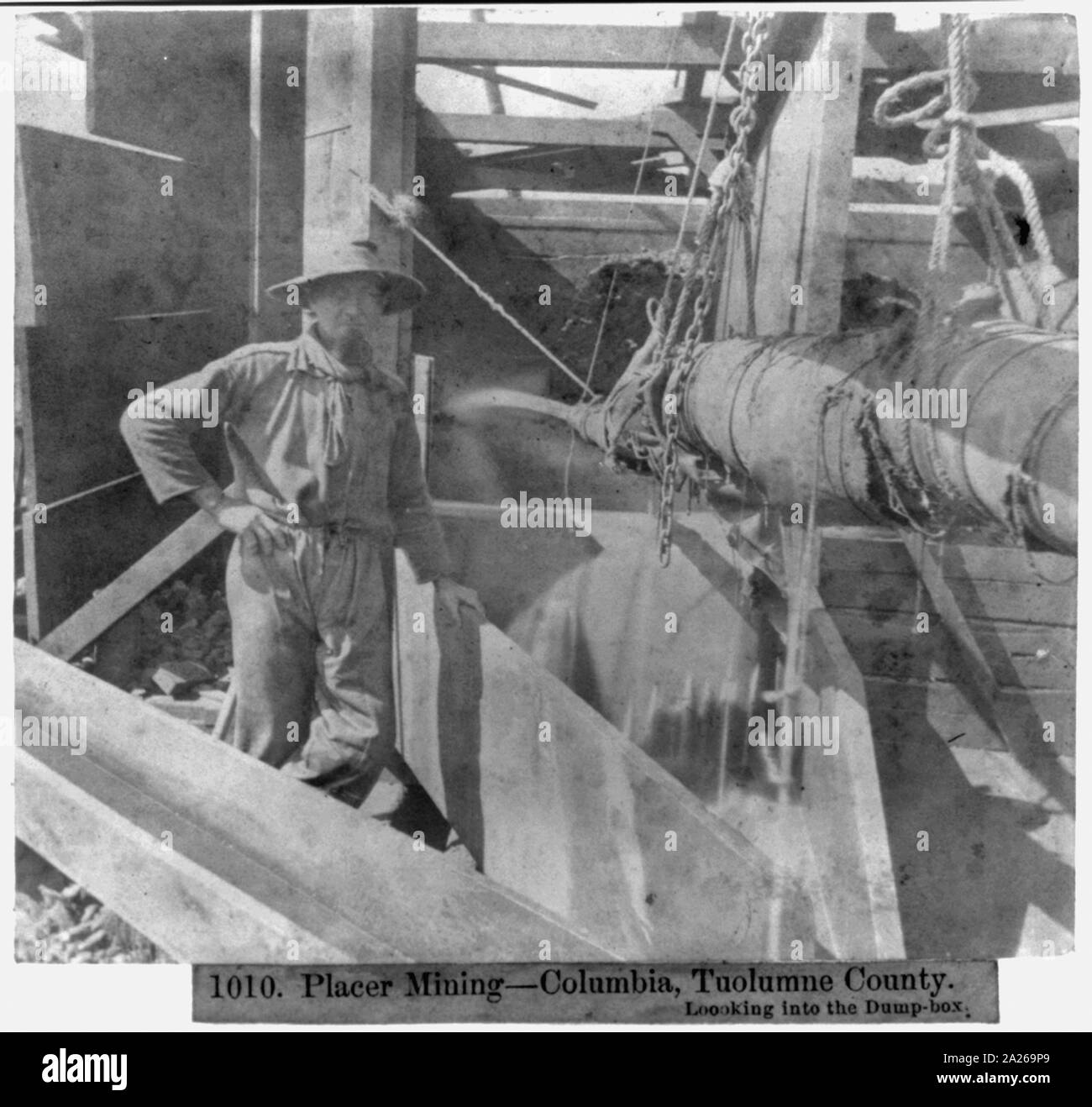 Placer Mining--Columbia, Tuolumne County, esaminando il dump-box Foto Stock
