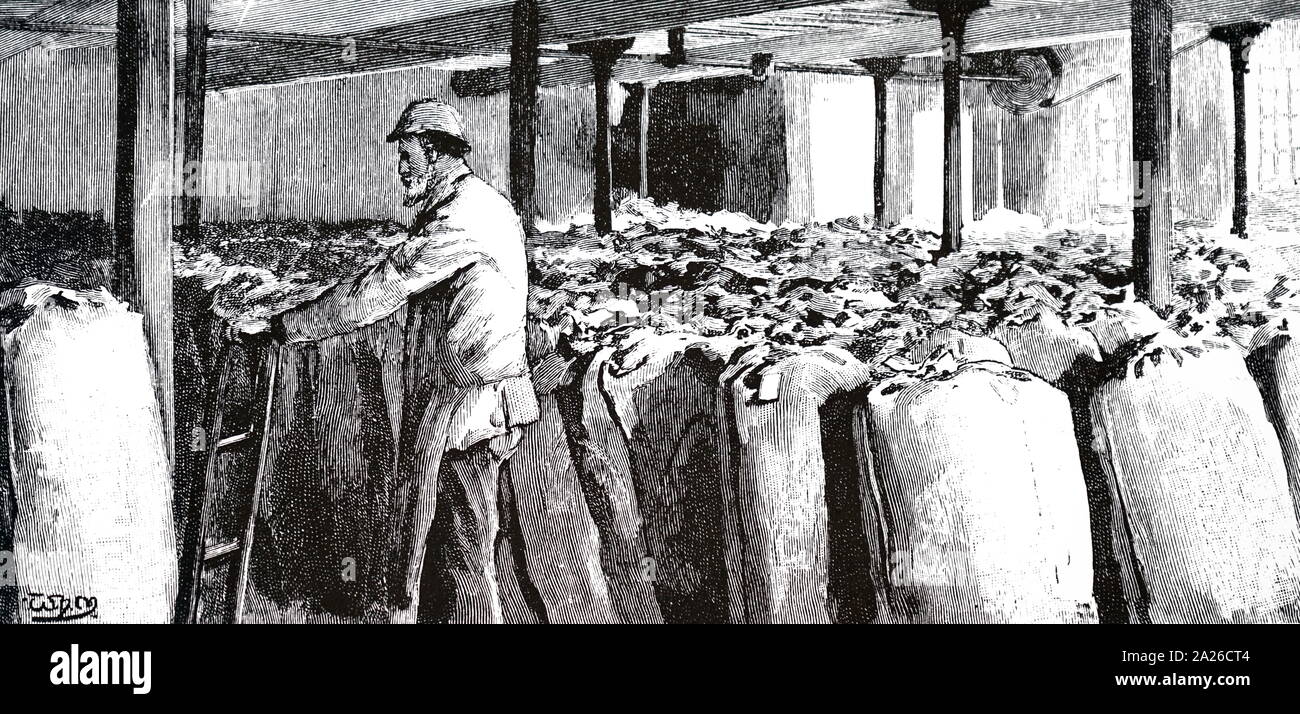Una incisione raffigurante la Huntley & Palmer's factory, lettura. Datata del XIX secolo Foto Stock