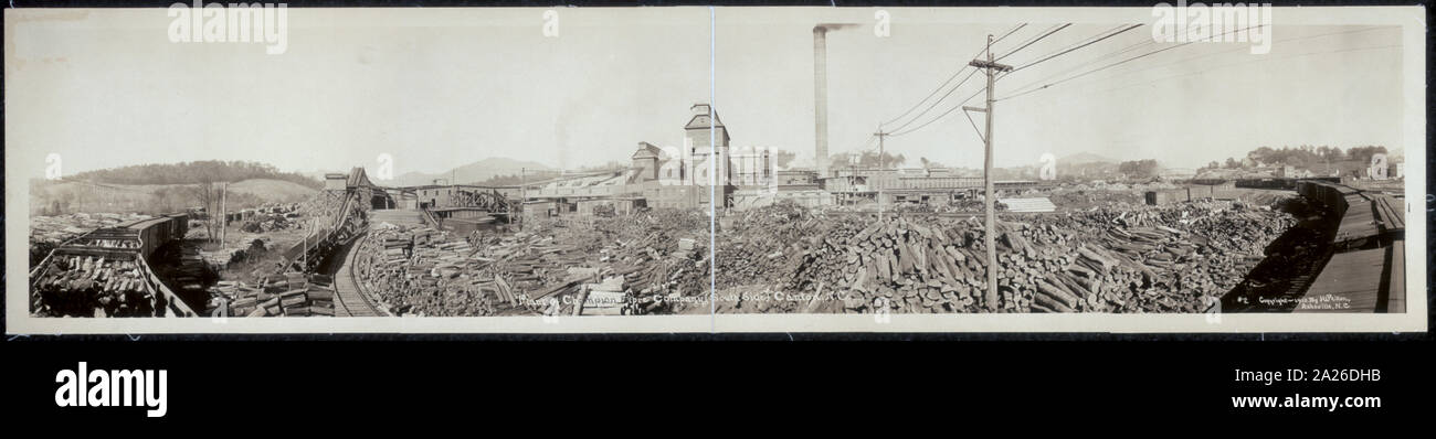 Impianto del campione di fibre Company (lato sud) Cantone, N.C; Foto Stock