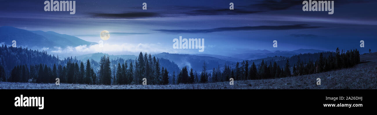 Panorama di montagna con foresta sul prato di notte. bellissimo clima autunnale. le nuvole e la nebbia che salgono sopra le colline con fila di abeti in pieno moo Foto Stock