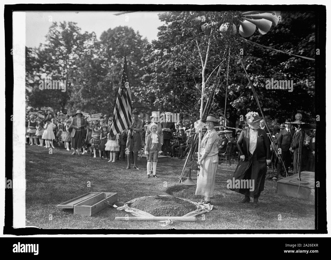 La piantagione di betulla al Campidoglio di Washington, D.C., Dist. Fed. di circoli femminili, 5/9/25 Foto Stock