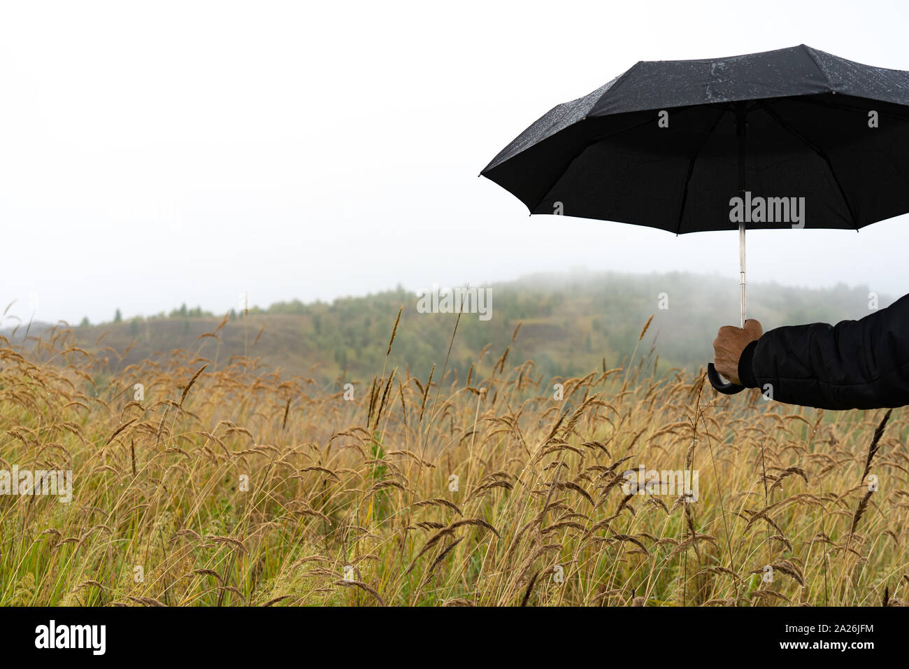 La mano di un uomo con un ombrello sulla natura Foto Stock