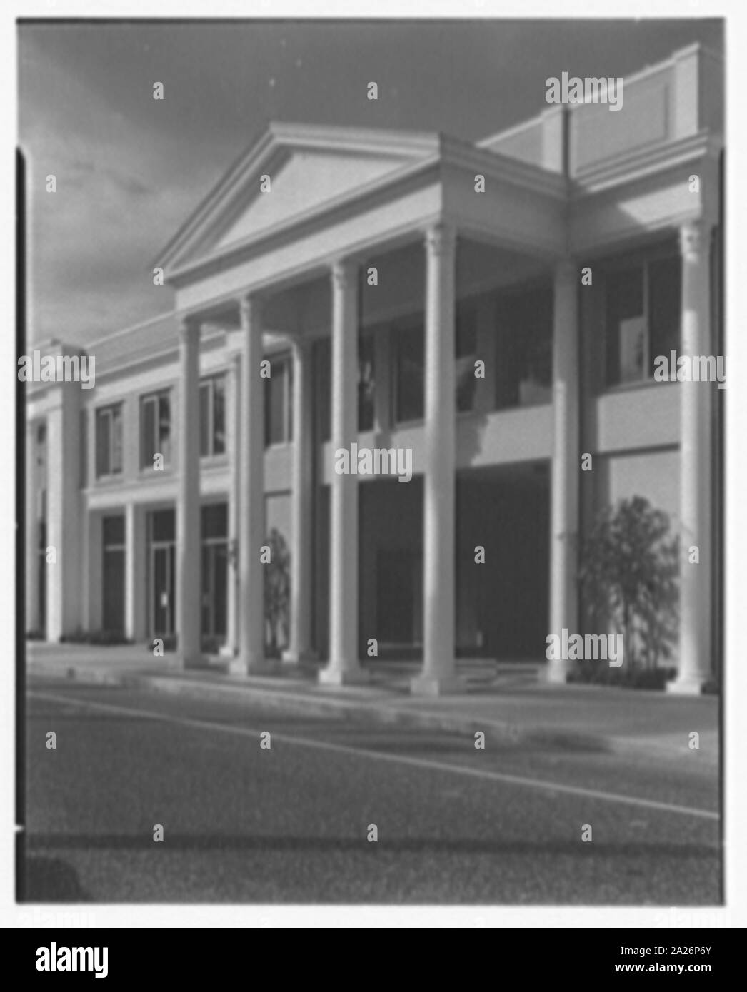 Ponciana Plaza e la fila di noce di cocco, Palm Beach, Florida. Foto Stock