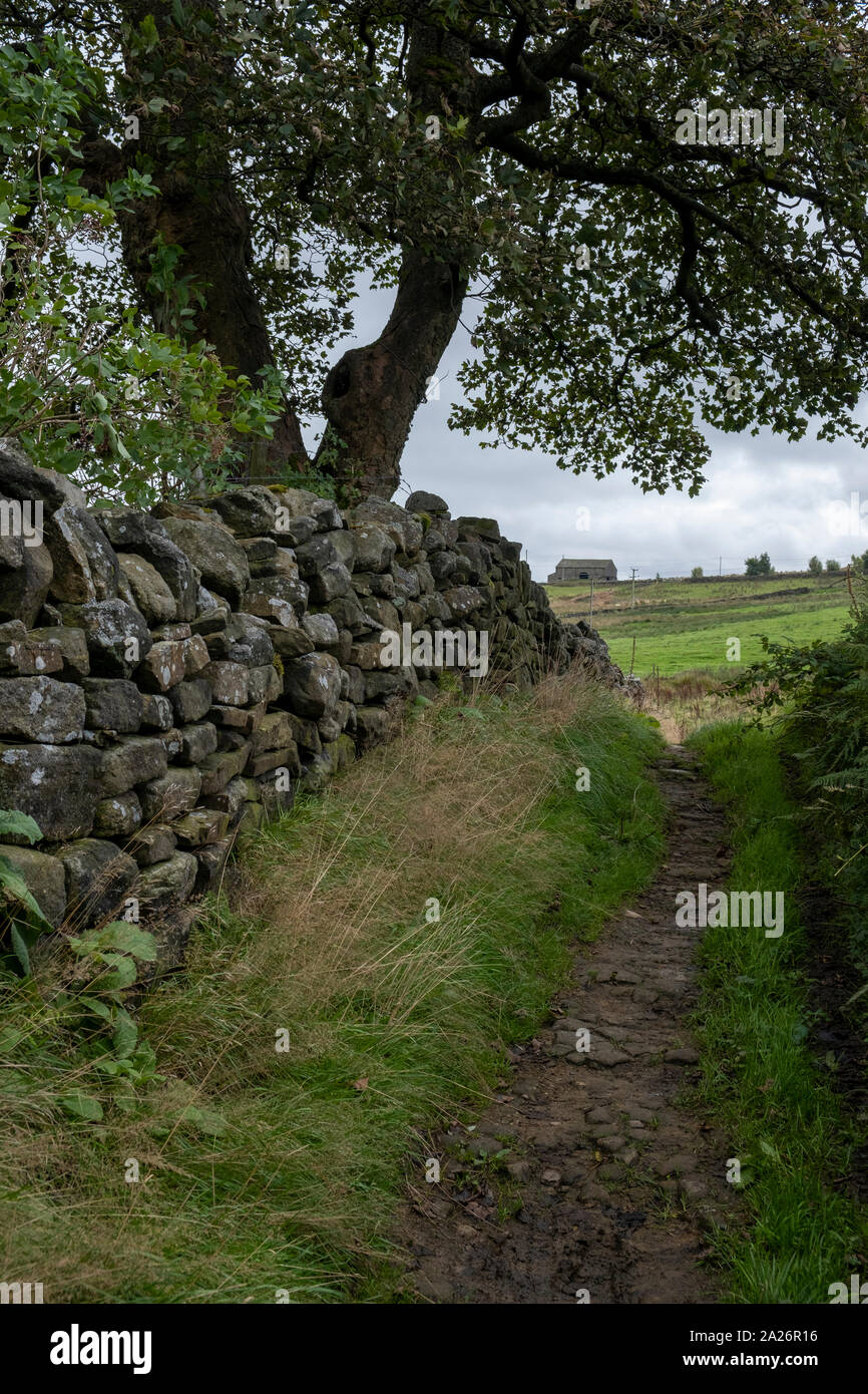 Un sentiero a piedi sulla West Yorkshire Moors nelle vicinanze del The Pennine Way, nel paese Bronté, con un secco muro di pietra Foto Stock