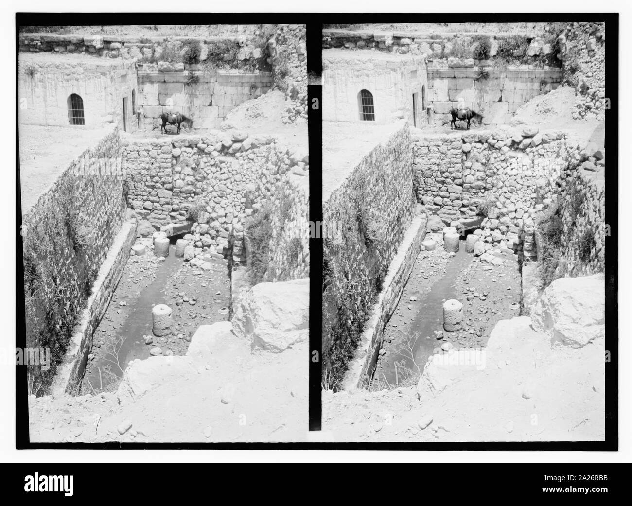 Piscina di Siloe, north end Foto Stock