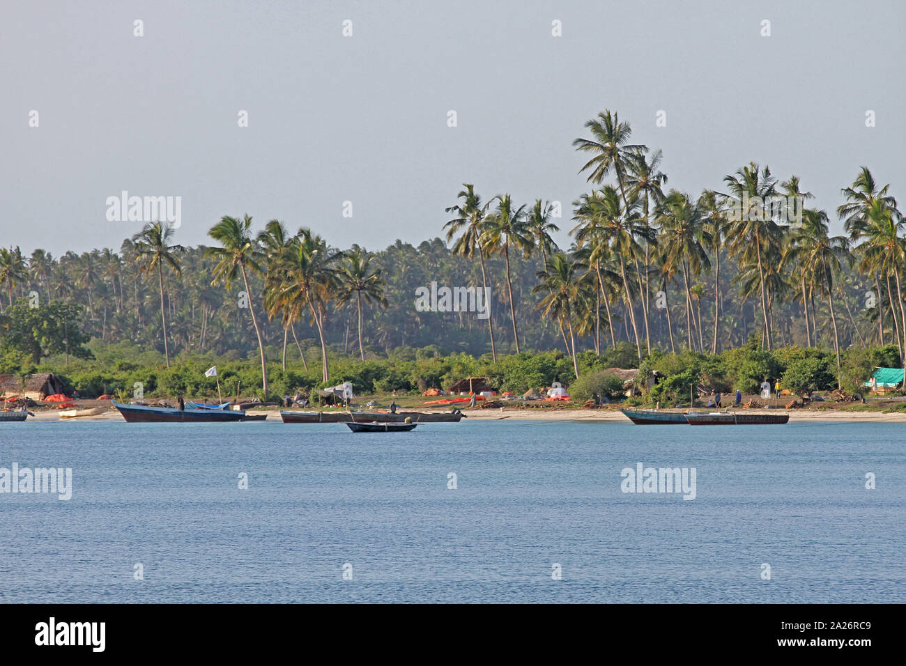 Villaggio di pescatori sulla spiaggia con barche da pesca e palme lungo la costa orientale di Zanzibar, isola di Unguja, Tanzania. Foto Stock