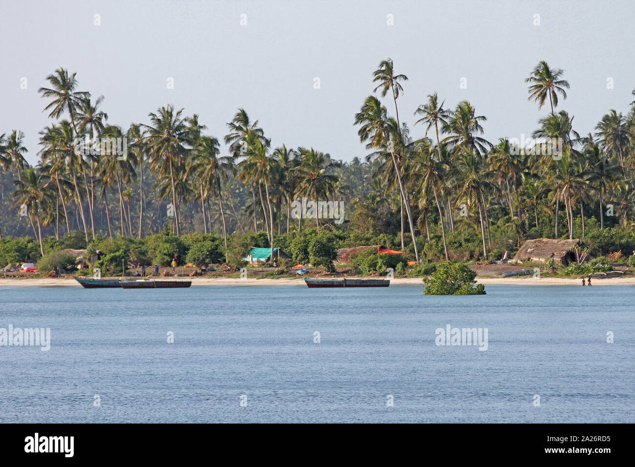 Villaggio di pescatori sulla spiaggia e palme lungo la costa orientale di Zanzibar, isola di Unguja, Tanzania. Foto Stock