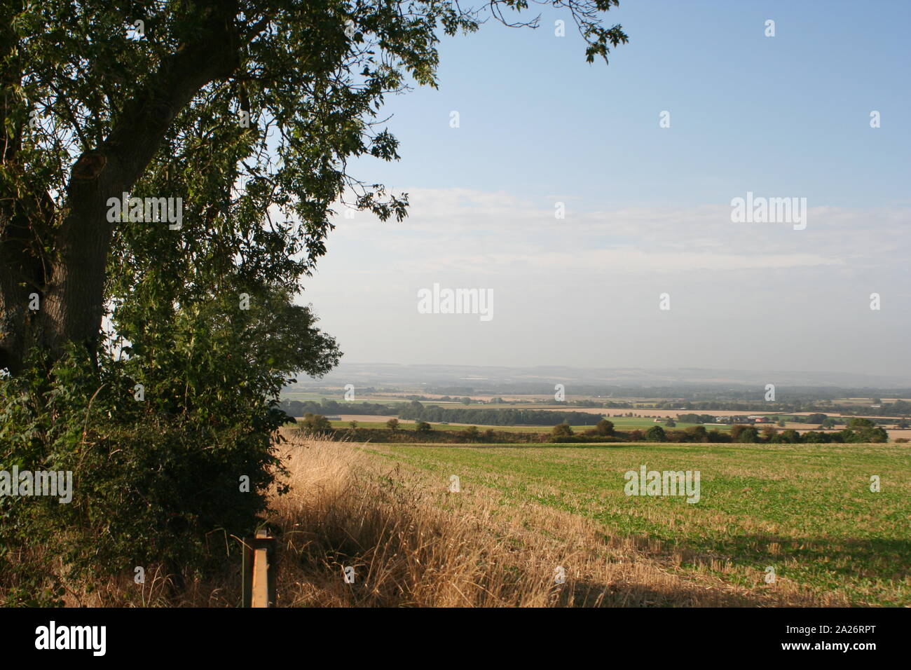 Paesaggi dello Yorkshire Foto Stock