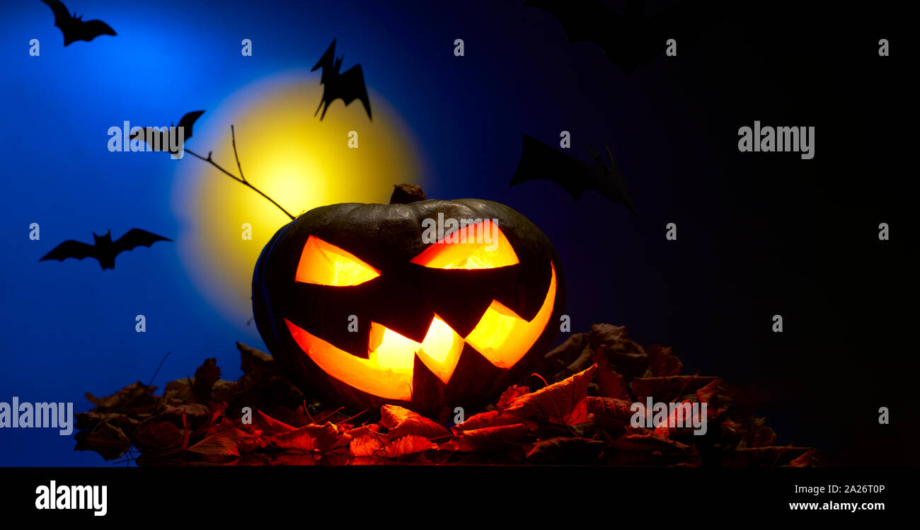 Foto di una zucca con bocche di masterizzazione, Pipistrelli di notte con la luna Foto Stock