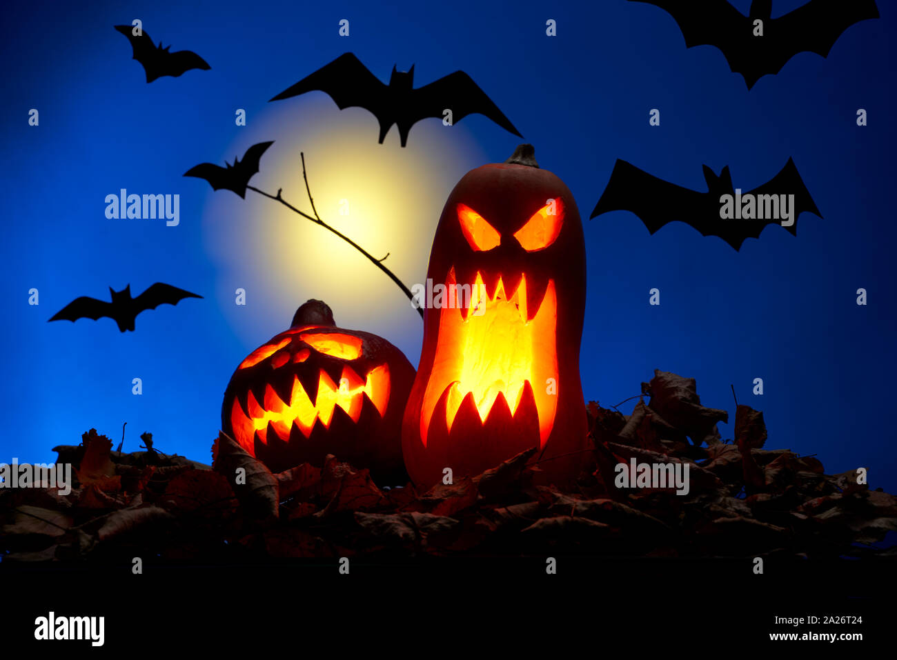 Foto di due zucche con bocche di masterizzazione, Pipistrelli di notte con la luna Foto Stock