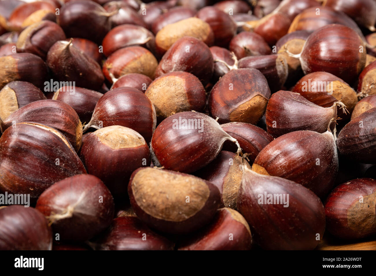 Sweet Chestnut sfondo. Close up. Castanea sativa Foto Stock